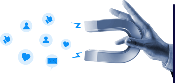 SEO Traffic Growth