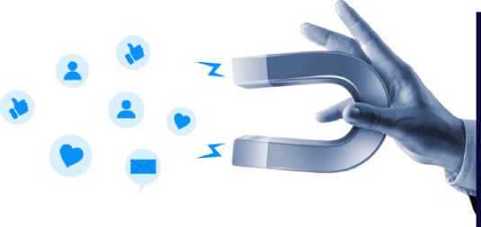 SEO Traffic Growth